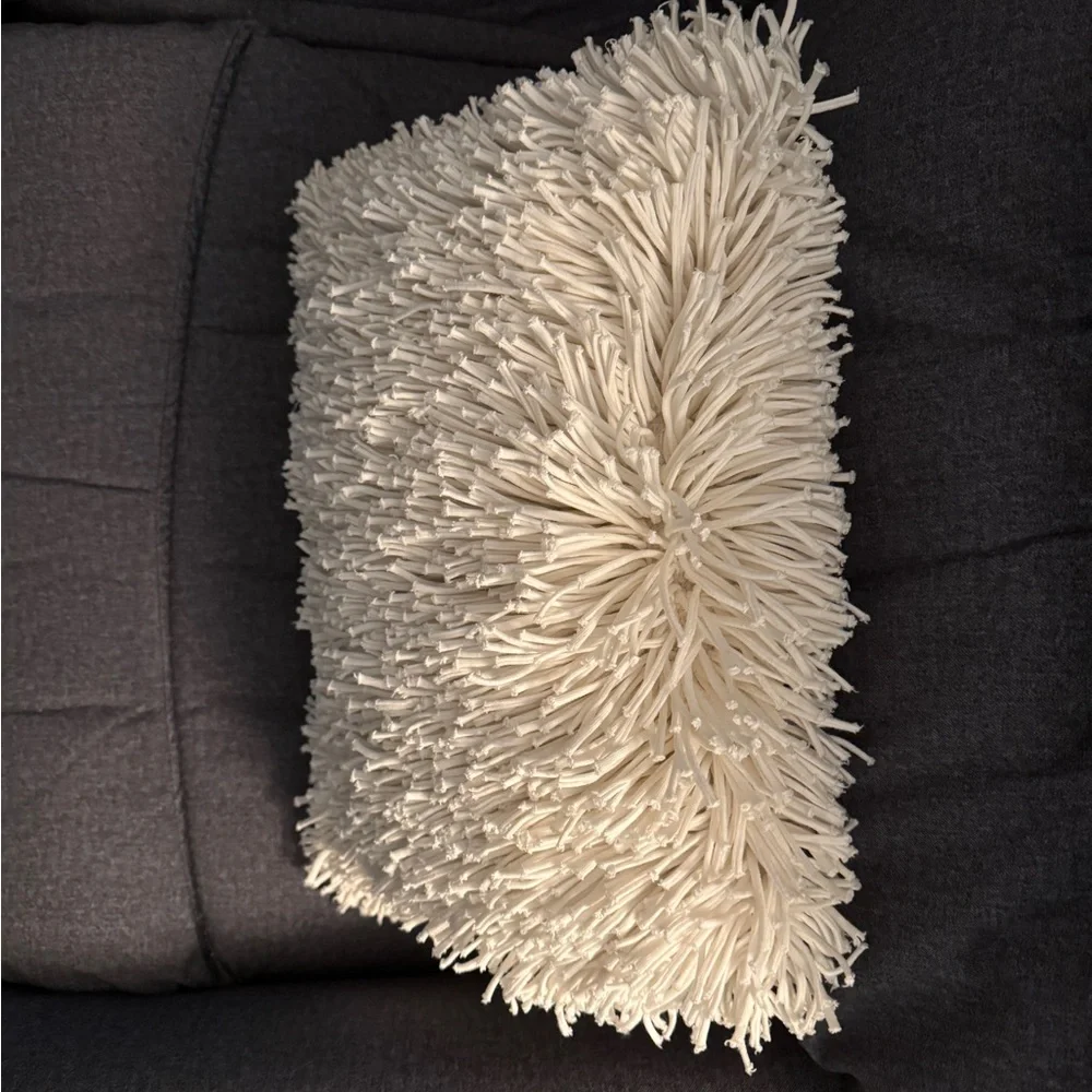 Crate&Barrel White Textured Accent Pillow